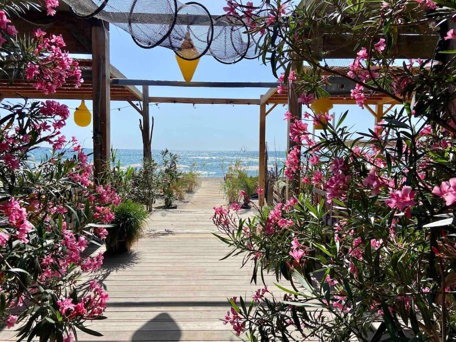 Les Voiles Blanches T2 Luxe A 100M De La Plage Leucate Buitenkant foto